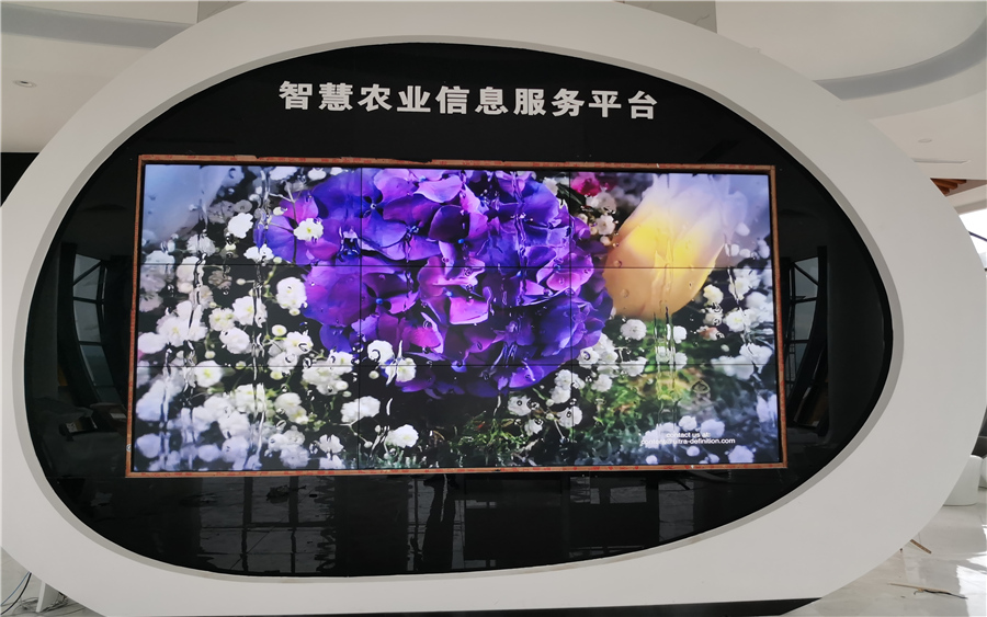 深圳鴻泰智能視訊科技有限公司